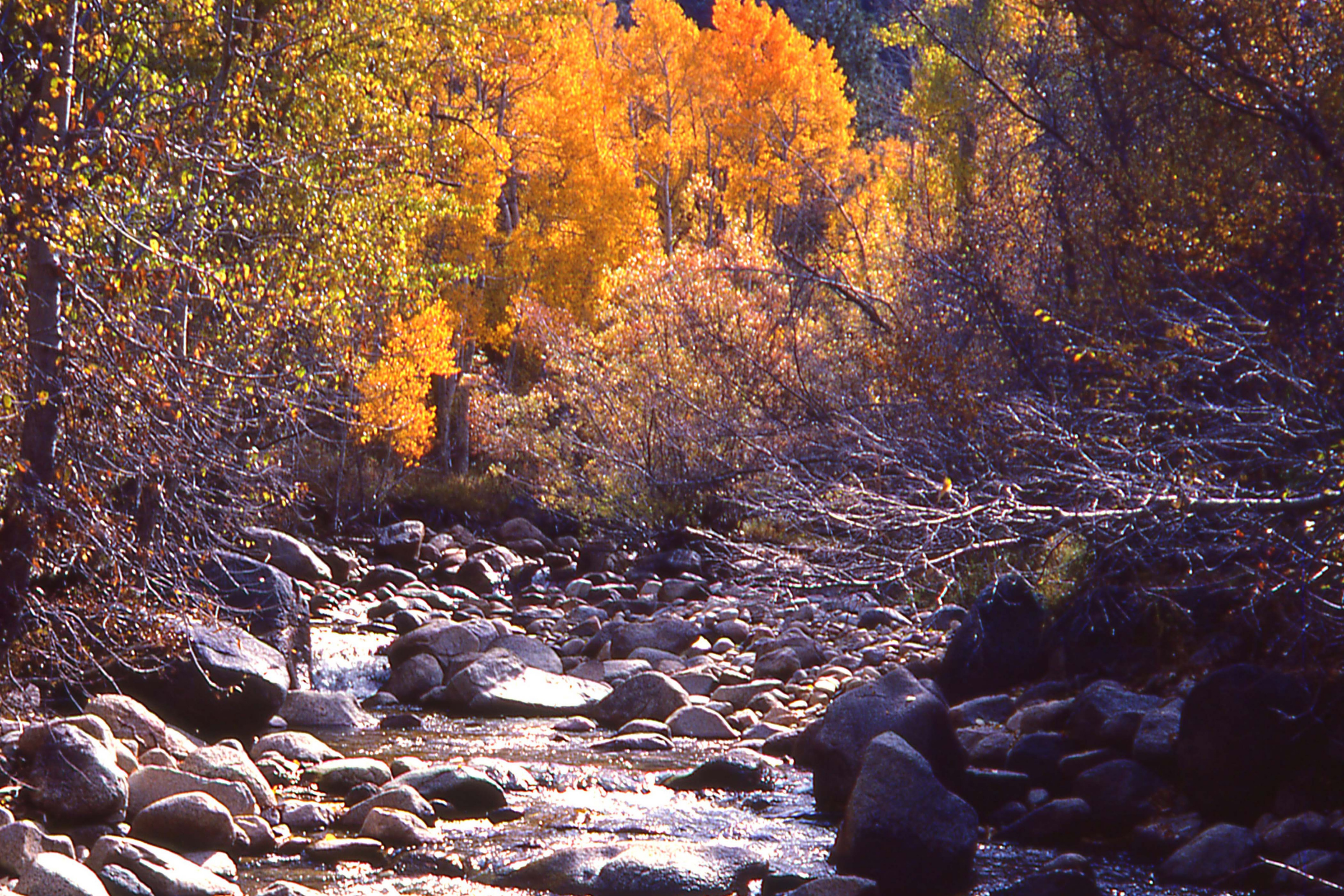 bishop, california (4).webp